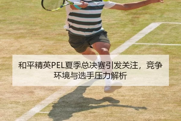 和平精英PEL夏季总决赛引发关注，竞争环境与选手压力解析